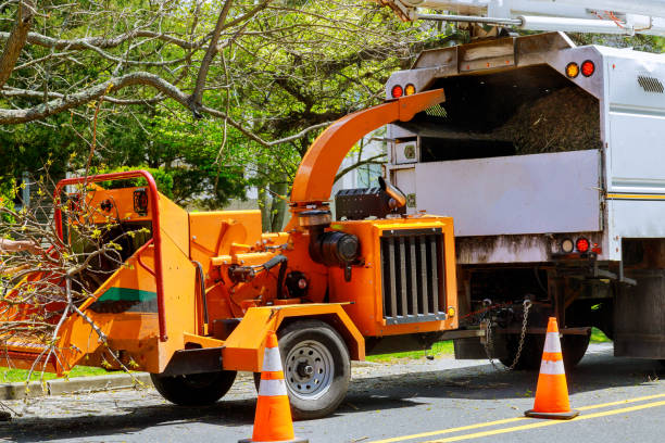 Best Lawn Grading and Leveling  in Kearny, NJ